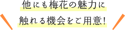 他にも梅花の魅力に触れる機会をご用意！