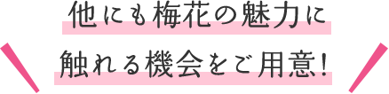 他にも梅花の魅力に触れる機会をご用意！